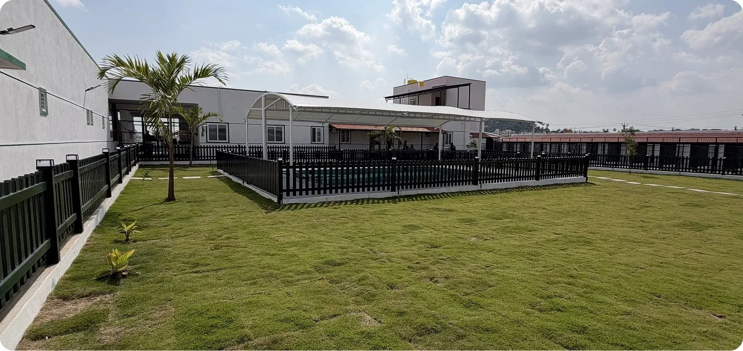 The fenced grass play area and grounds at Kutty Paws